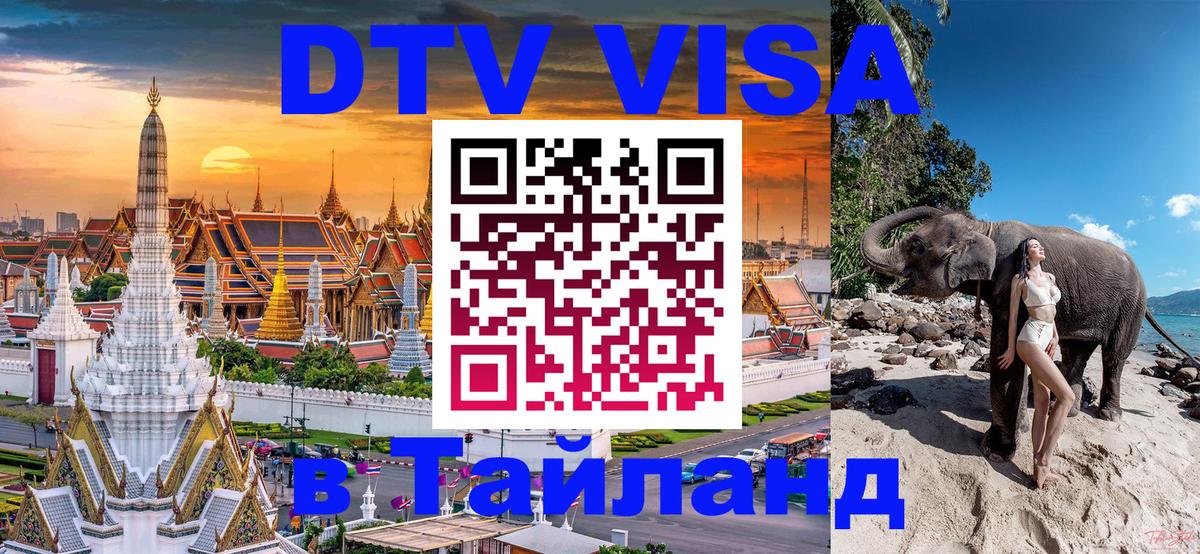 Сколько стоит DTV виза — актуальные цены, оформление даже без документов - Калининград 